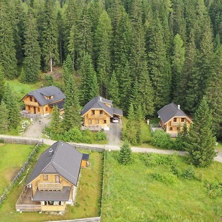 Almhaus & Almchalet Flattnitz מראה חיצוני תמונה